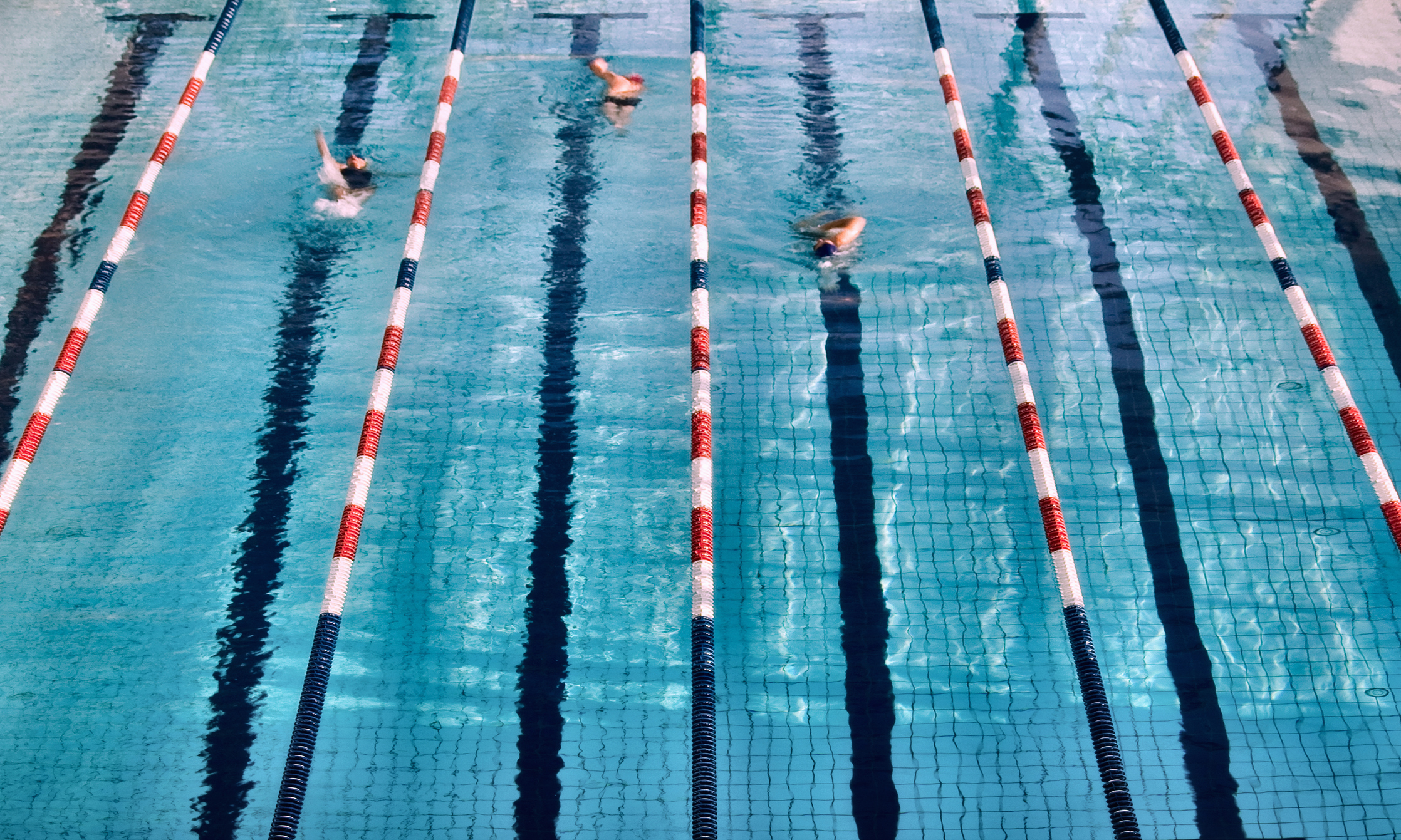 Menschen ziehen im Schwimmbad ihre Bahnen